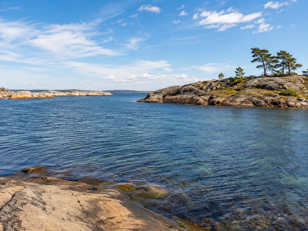 Lugn havsvik med klippor och tallar
